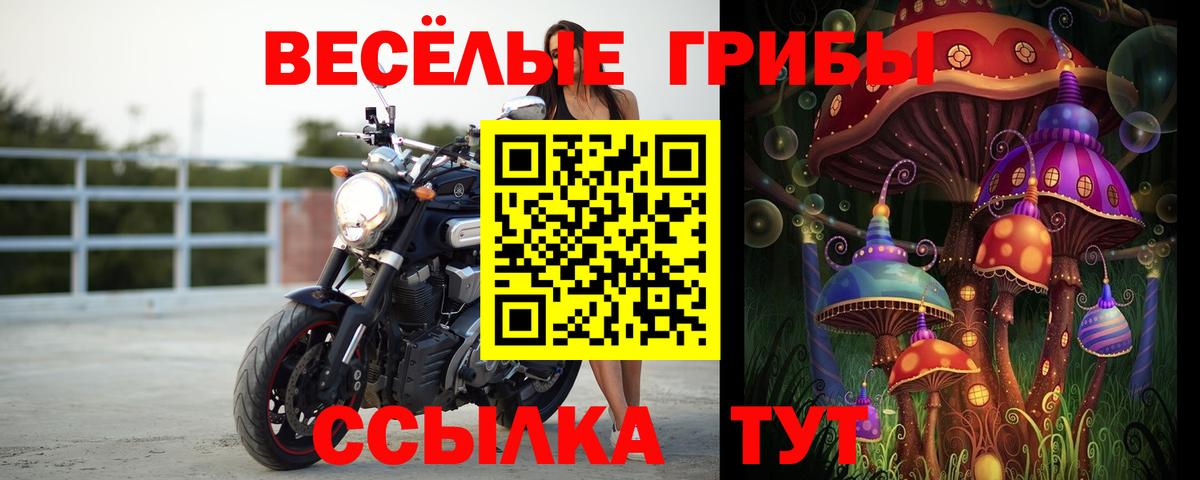Галлюциногенные грибы мухоморы Гусиноозёрск