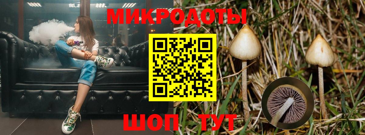 Галлюциногенные грибы ЛСД  Псилоцибиновые грибы Psilocybine cubensis  Гусиноозёрск  Вход с VPN 