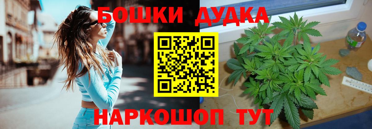Канабис сатива Гусиноозёрск